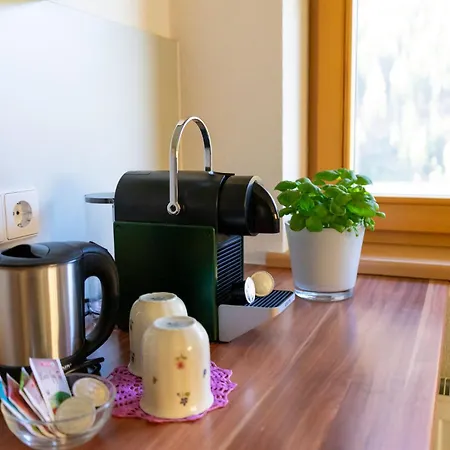 Schmoelzerhof Apartmán Vals