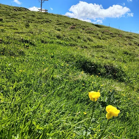 Schmoelzerhof Vals