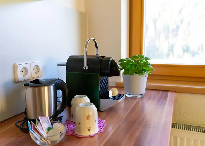 Schmoelzerhof Apartmán Vals