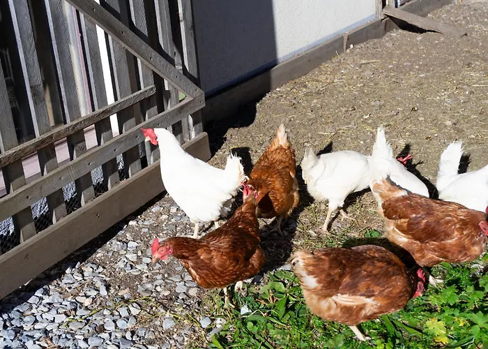 Apartmán Schmoelzerhof Vals